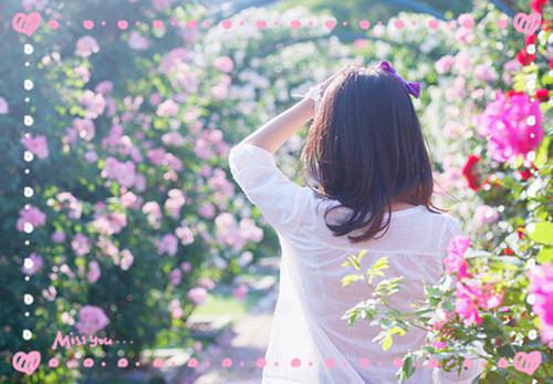 沈枝意免费试读 周亦安沈枝意小说第1章