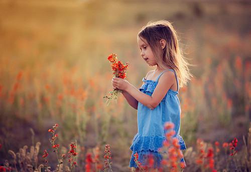 报恩小人鱼软又娇，秦爷为她破戒唐不凡秦豫完整版全本免费阅读