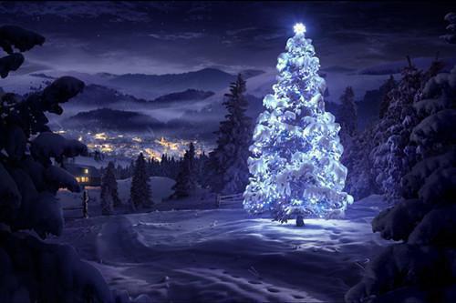 蓄谋已久的爱情周洲林安安章节目录免费看