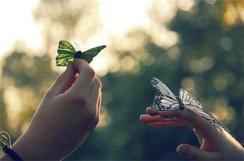 季琉嫣高钦闻小说免费 季琉嫣高钦闻第三章在线阅读