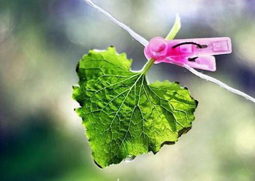 (抖音小说)雪团小珂免费阅读