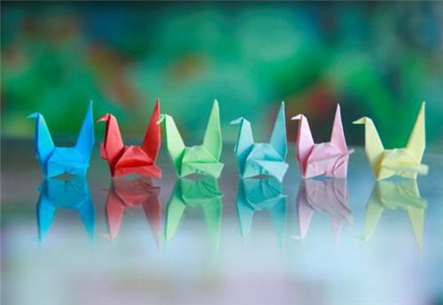 穿越七零：被霸道军官强制爱小说已完结版全章节 徐青青邵扬免费阅读