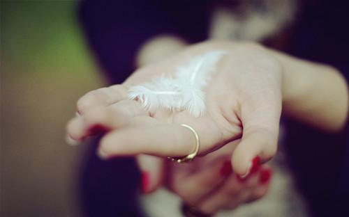 池汐若纪靳言全文最新章节正版小说免费阅读