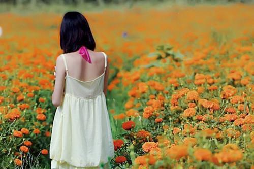 秦乐微黎在野完整未删减版在线阅读 秦乐微黎在野结局