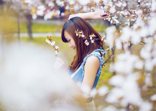 王老五《小猫圆宝》小说在线阅读