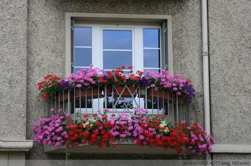 宋清桉宁烷洲慕容熙小说免费试读 宋清桉宁烷洲慕容熙第1章