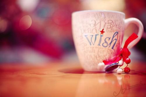 林玲宋斌免费阅读第6章 林玲宋斌大结局