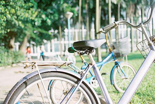 张国雄楚元小说叫什么 张国雄楚元小说全文免费阅读