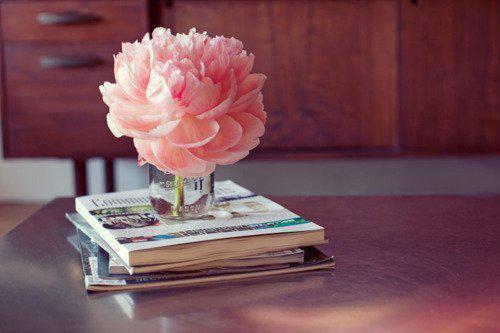 唐沁齐夏黄培免费阅读无弹窗 唐沁齐夏黄培最新章节