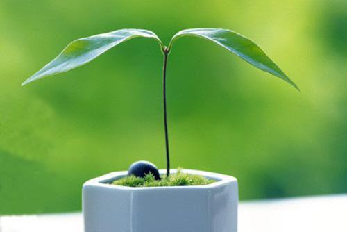 林慕雪周霁言免费小说 林慕雪周霁言在线阅读