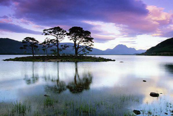 (最新)安玥莉莉小说完整版免费阅读