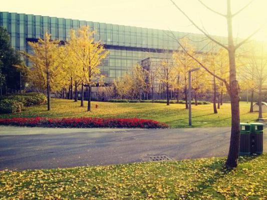 林佳陈礼言魏晴第三章 林佳陈礼言魏晴小说免费阅读