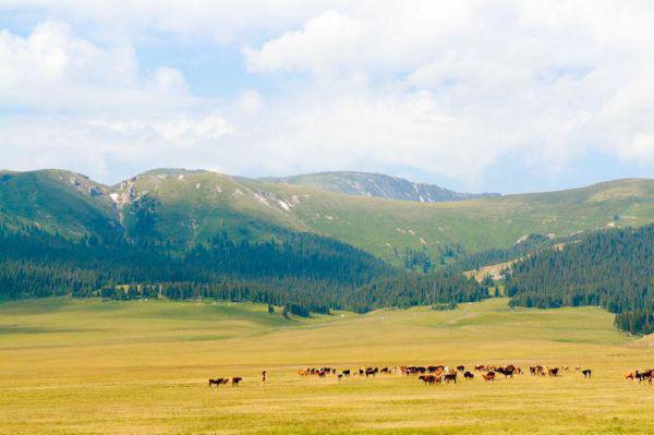 萧文淇季繁小说在哪里看 萧文淇季繁在线阅读第6章