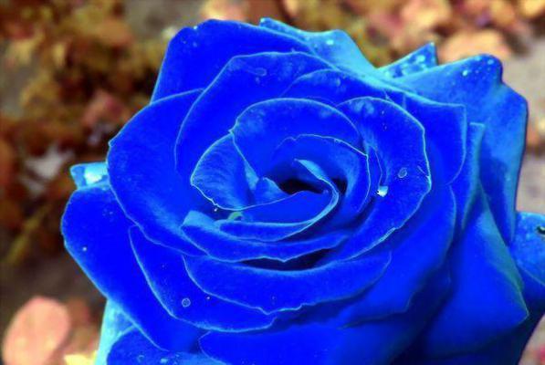 陈年孙敏琳琳小说 陈年孙敏琳琳完整版免费阅读