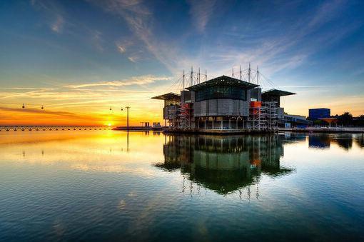 主角是林艾希苏晋德白菲菲的小说免费阅读全文大结局