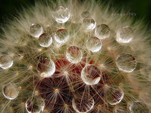 退学后，全校求我回归全文目录 李子浩贾可馨小说结局阅读