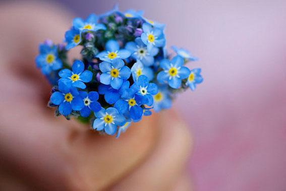 温雨棉顾时修全文最新章节正版小说免费阅读