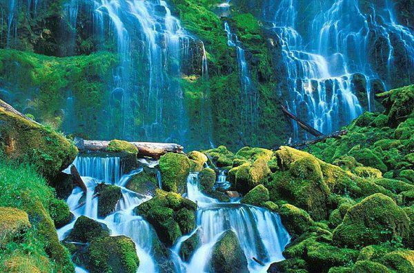 简依江彦全文免费 简依江彦在线阅读