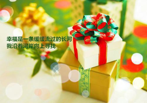 秦知棠裴声免费阅读（爱意无处诉说）全文免费阅读无弹窗大结局_秦知棠裴声免费阅读最新章节列表