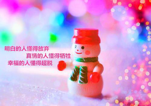 蒋清曲夏莲衣的小说(王府丫鬟)免费阅读_蒋清曲夏莲衣小说免费阅读