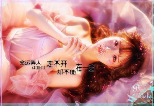 陆行周沈璃月（陆行周沈璃月全文免费阅读）无弹窗-陆行周沈璃月（陆行周沈璃月）完整版在线赏析