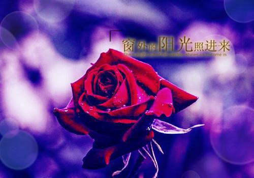 这个演员要加钱！欧阳白元斌完整版小说全集阅读