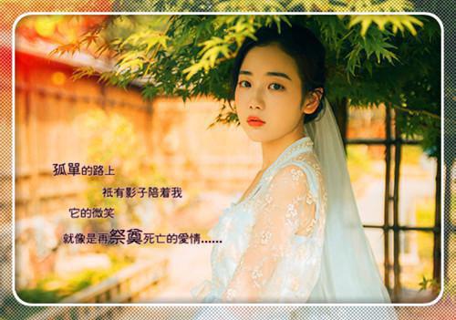 季听白顾芸芸免费 星星通道完整版小说