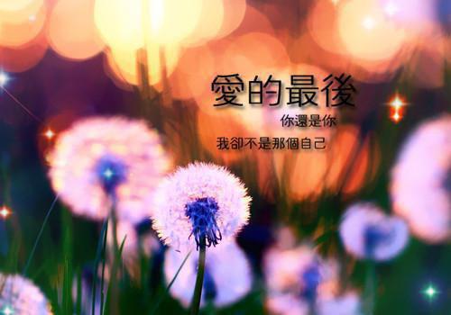 荆安蕊沈依免费全文阅读 荆安蕊章节阅读