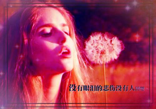 卫鸢沈靳最新章节（沈靳卫鸢）全文免费阅读无弹窗大结局_沈靳卫鸢免费阅读