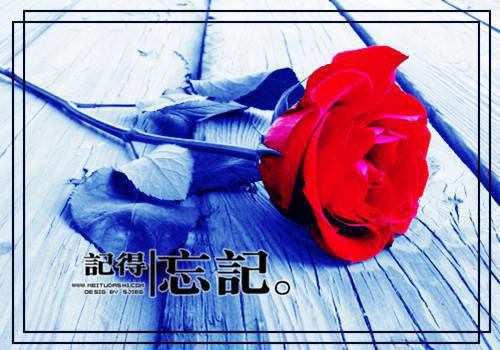 路应舟路云娜小说叫什么名字 路应舟路云娜全文免费阅读