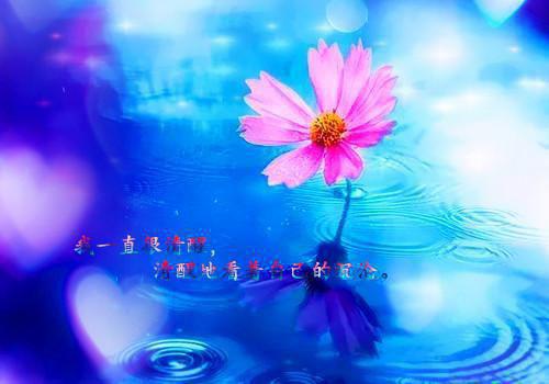 傅宸柳小雅小说 傅宸柳小雅完整版免费阅读