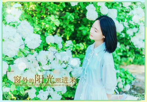 蘅芜君临羽画免费阅读 蘅芜君临羽画最新章节目录