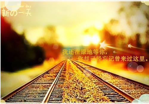 (抖音小说)陶婧琳魏意轩小说全文阅读免费