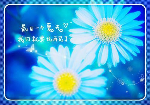 陆棠溪顾迟叙最后结局 陆棠溪顾迟叙完结版免费阅读