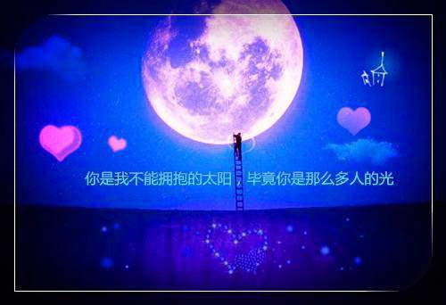 《她的眼里从来没有我》最新章节无弹窗by草木全本资源在线阅读