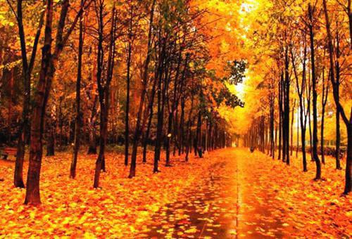 俞晚贺清洲小说最后结局 俞晚贺清洲完结版免费阅读