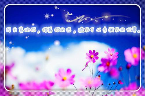 离婚后，前夫说自己错了免费读全文 何西袁白玫小说无弹窗