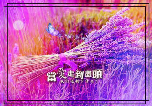 顾晓芸许临枫徐景深免费大结局 领证当天，妻子在给初恋当模特完结小说