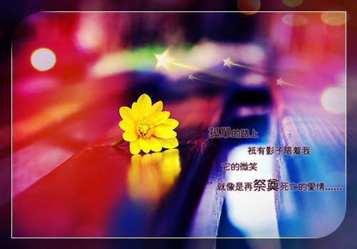 沈落落霍时胤全文免费沈落落霍时胤全文免费