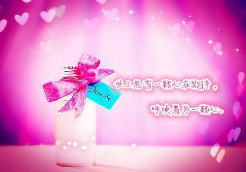 林栀沈斯屹小说全文 林栀沈斯屹小说免费阅读大结局