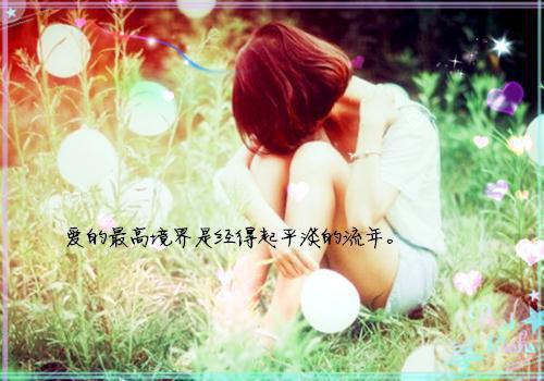 (最新)许江树沈清梨小说完整版免费阅读