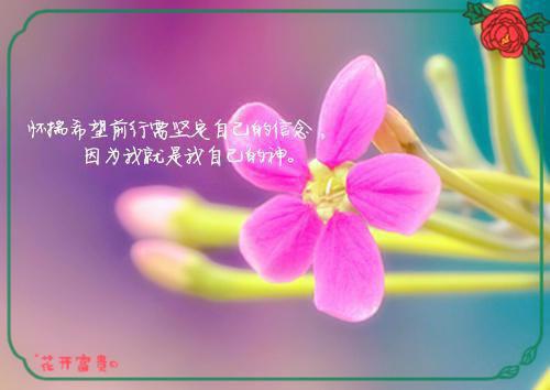 谢无宴沈柚清免费全文 谢无宴沈柚清小说在线阅读