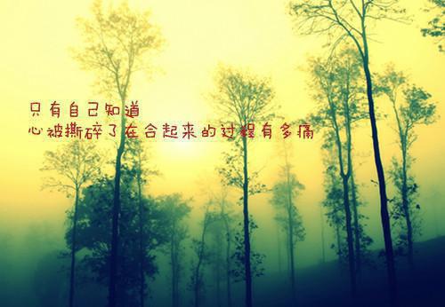 陆远川姜早早全文免费阅读最新 陆远川姜早早第7章