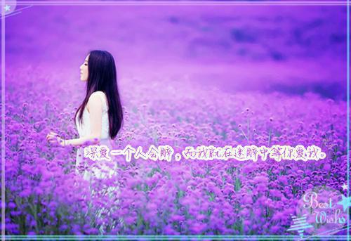 杨凡无弹窗 点龙穴杨凡全文免费阅读