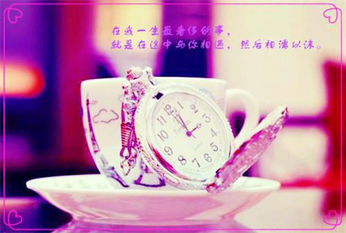 悸动情书首发小说 顾逾白在线阅读