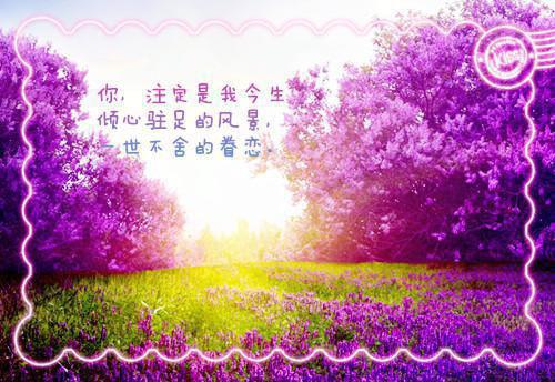 贺盈盈容惟胤全文阅读 贺盈盈容惟胤小说最新章节