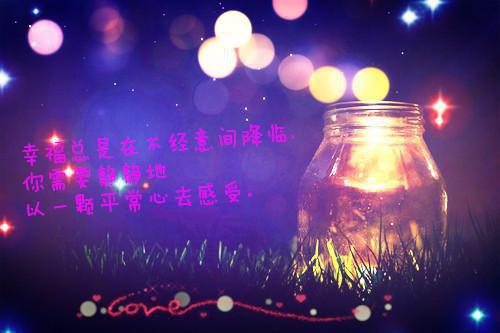 主角叫权今舟易征的小说 甜宠：高冷大佬对娇娇犯花痴了小说全集在线阅读