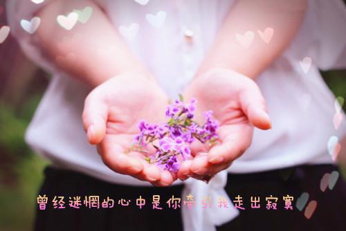 《林蕴星盛听寒小说》无弹窗全文免费阅读