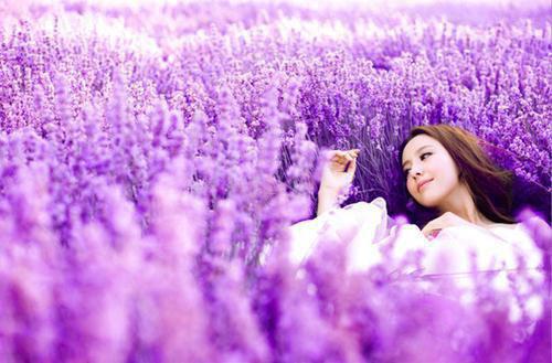 祝繁星顾晏津全文阅读最新 祝繁星顾晏津小说目录