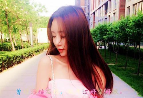 宋启山温秋予宋寒声免费完结版 杀死那个男主宋启山温秋予宋寒声小说阅读